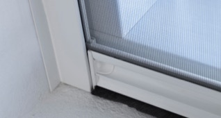 rolhor insectenwering